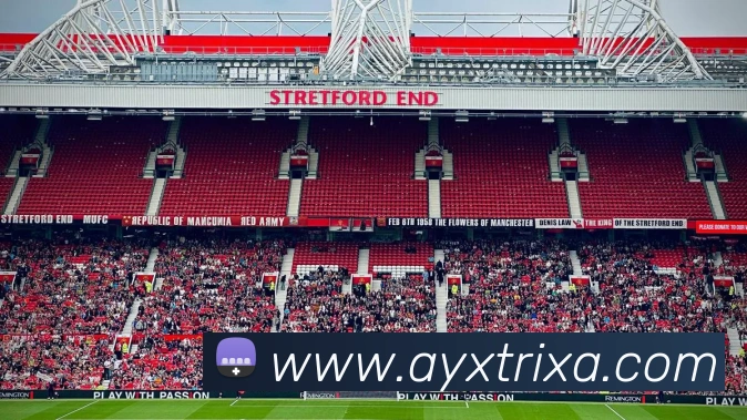 爱游戏体育平台生态图